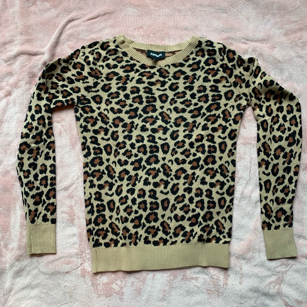 Express Leopard Print sweater